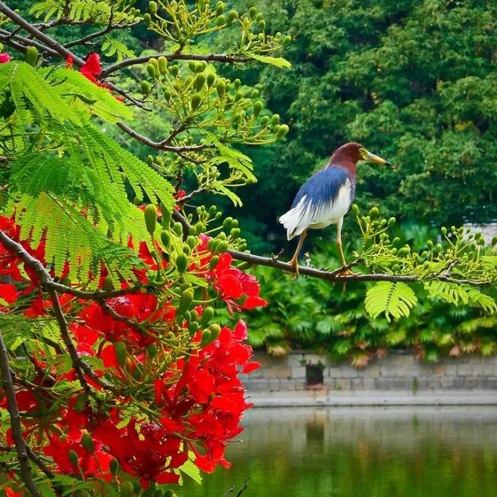 初夏吃什么好？